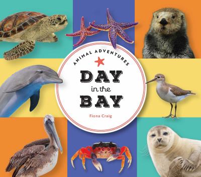Day In the Bay